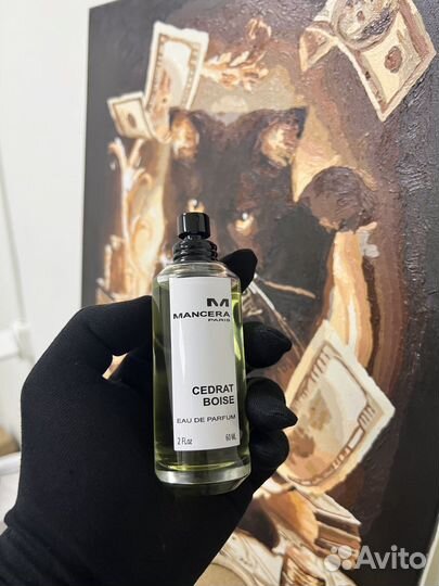 Cedrat Boise Mancera