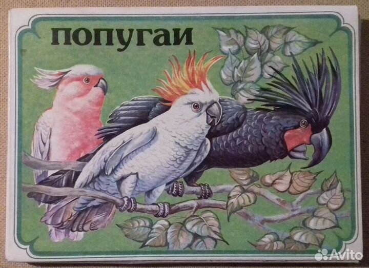 Сувенирный набор спичек 