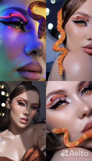 Аренда пауков, скорпионов, змей для фотосессии