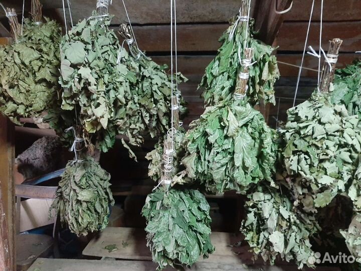 Банные веники, запарнрк