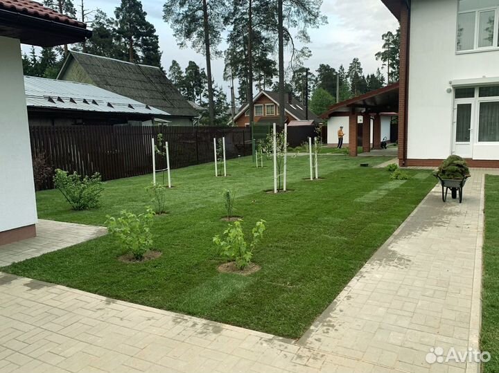 Рулонный газон