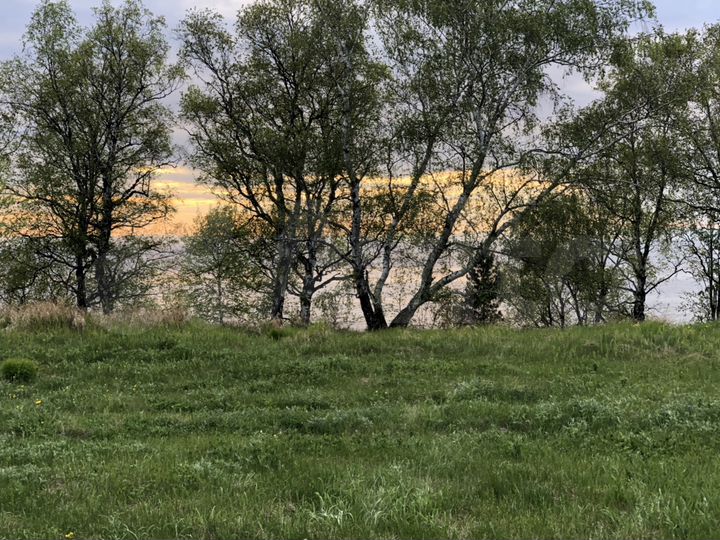 Участок 20 сот. (ИЖС)