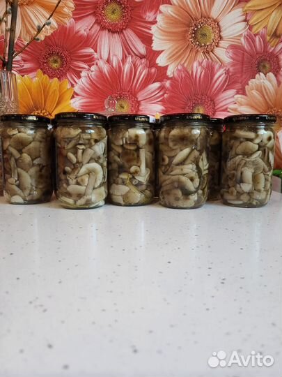 Опята,красноголовики, грибная икра,хреновина