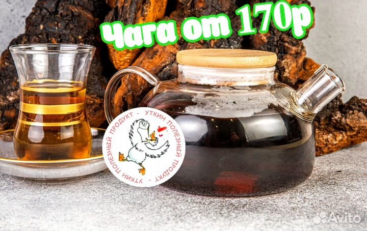 Чага молотая сушеная / Продаем и Принимаем