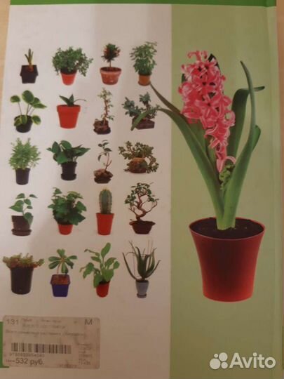 Всё о комнатных растениях