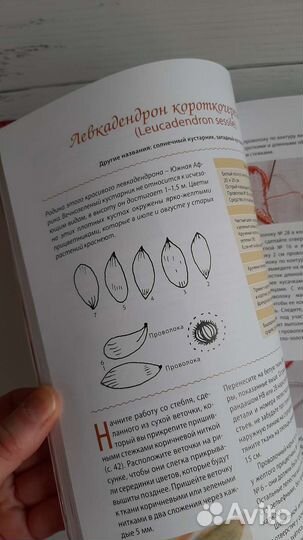 Объёмная вышивка лентами. Техники и приёмы