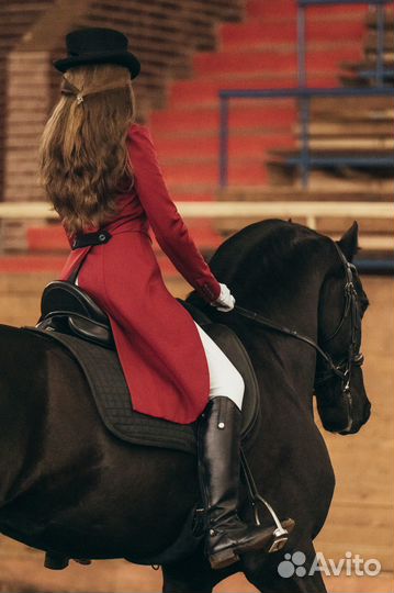 Тренер берейтор