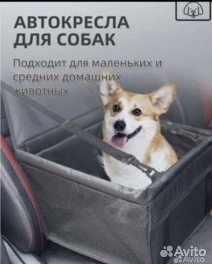 Автокресло для собак