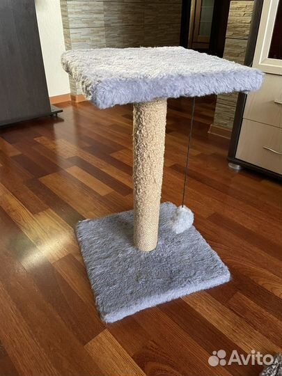 Когтеточка