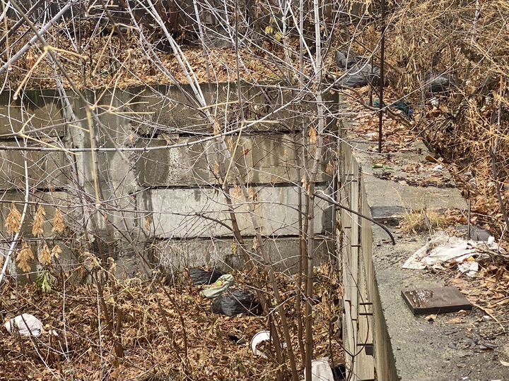 Участок 6 сот. (ИЖС)