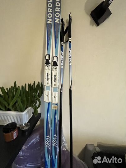 Беговые лыжи