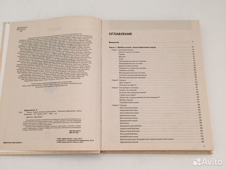 Энциклопедия все о Домашних Кошках