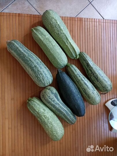 Кабачки цукини