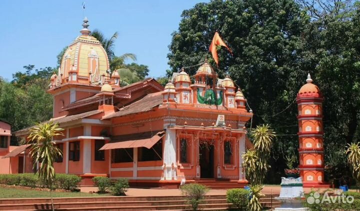 Тур поездка гоа от 1 чел