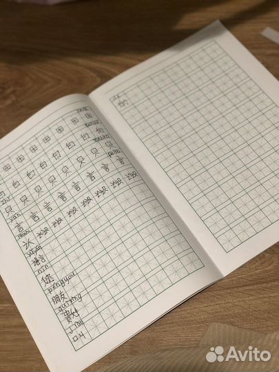 Китайский язык. Рабочая тетрадь. Иероглифы