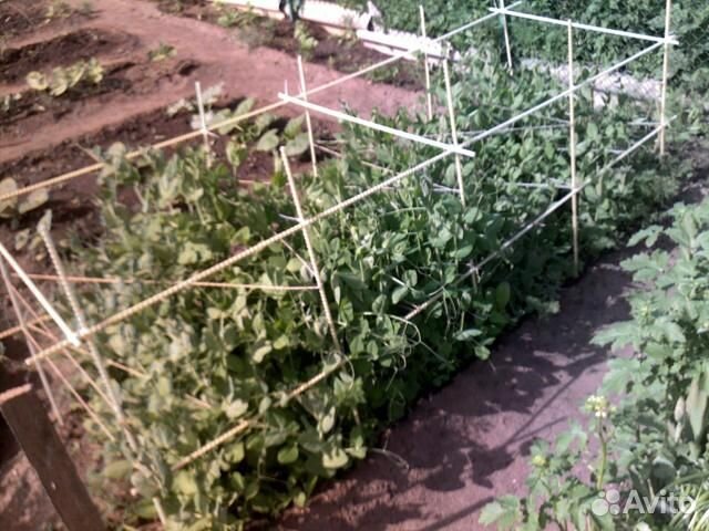 Колышки для растений стеклопластиковые