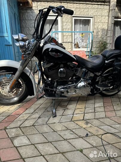 Harley-davidson flstn