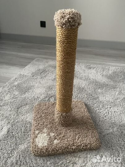 Когтеточка для кошки новая