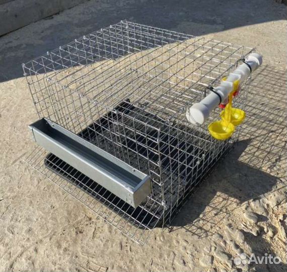 Клетки для перепелов