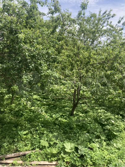 Дача 52 м² на участке 6 сот.