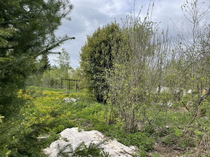 Участок 8 сот. (СНТ, ДНП)