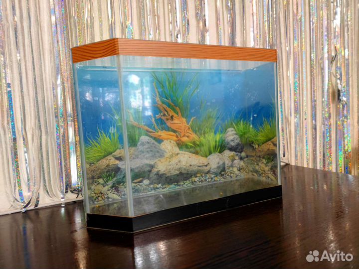 Аквариум