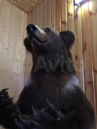 Дом 120 м² на участке 5 сот.