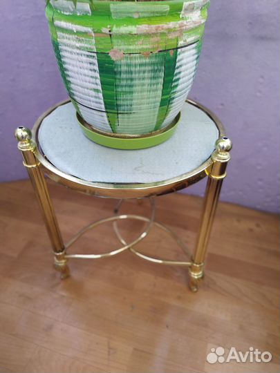 Комнатные растения цветы большие