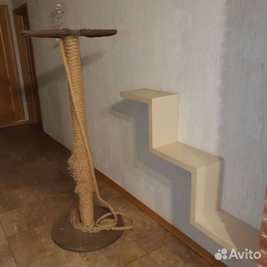 Когтеточка