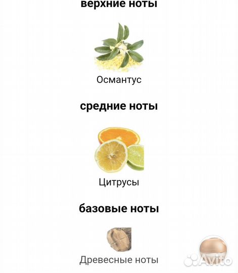 Духи мужские парфюм новые для парня