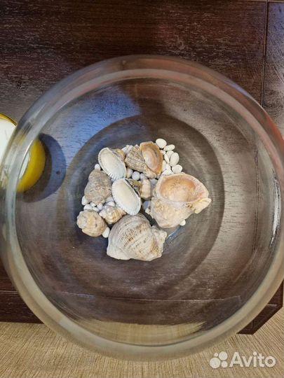 Аквариумные рыбки