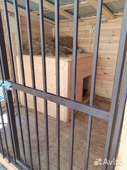 Вольер с утепленной будкой с Электрообогревом