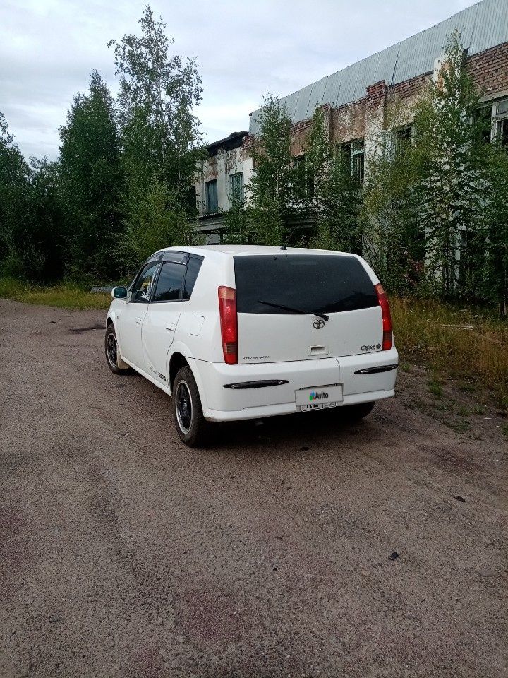 Toyota Opa: фото владельца