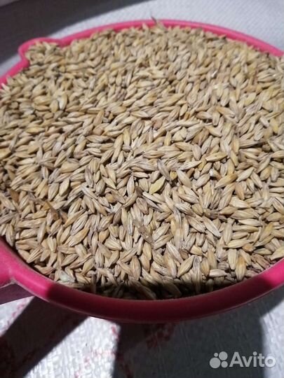 Комбикорма, зерновые