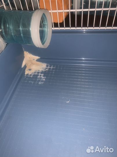 Клетка для грызунов бу