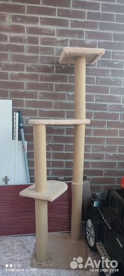 Когтеточка