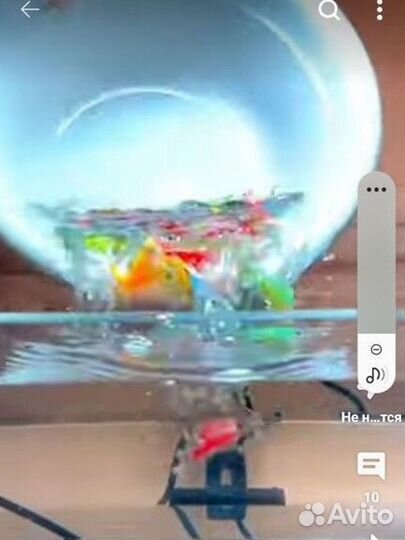 Аквариум с местом для котиков