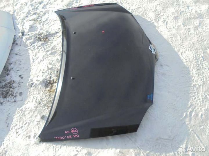 Капот Nissan Tino V10 QG18DE 2002