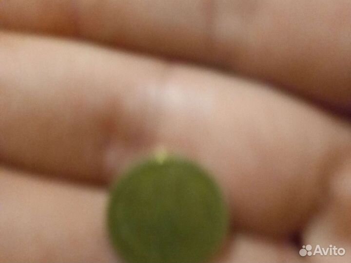 Монета 1 копейка 1967 год