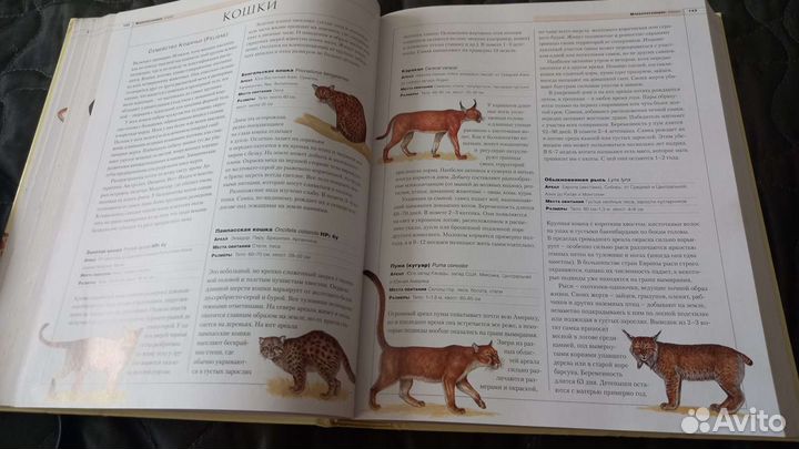 Новейшая энциклопедия животных
