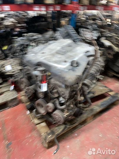 Двигатель Infiniti VQ35HR 589196C