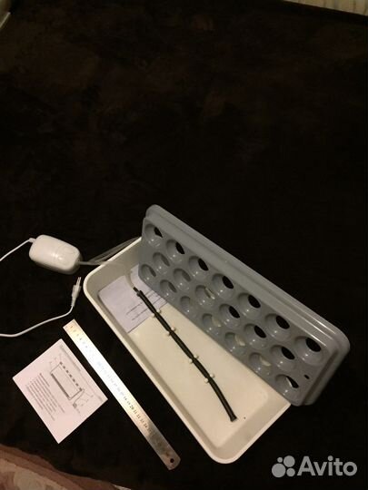 Луковая грядка на подоконнике