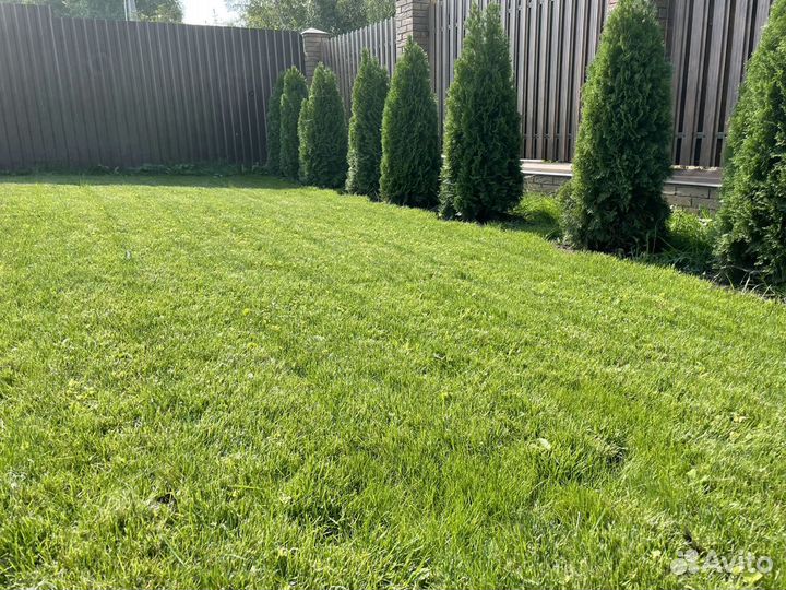 Чернозем Удобрение Грунт Перегной - смесь с Достав