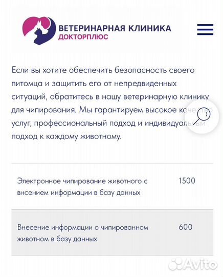 Чипирование собак