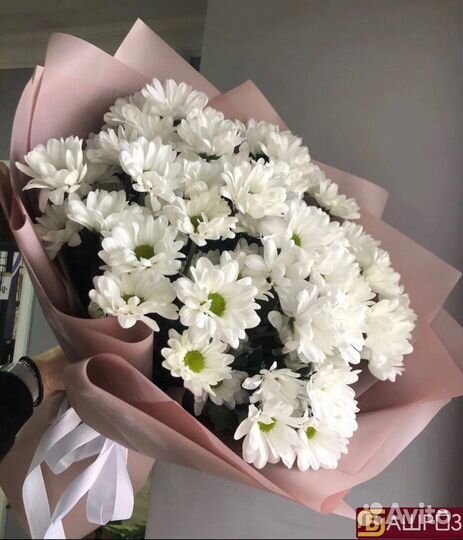 Хризантемы