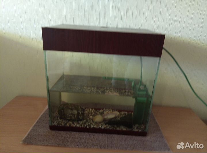 Аквариум 13.5 литра