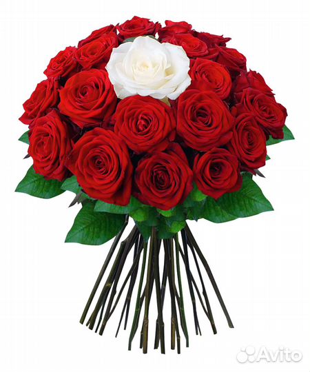 21 Уральская роза