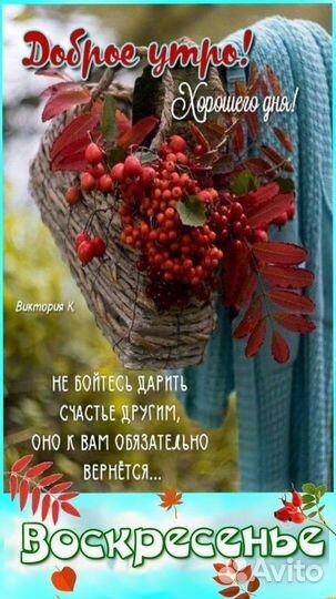 Продам пчелосемьи