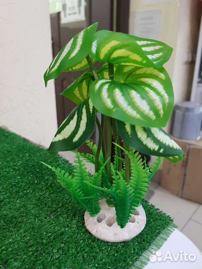 Декор для аквариума