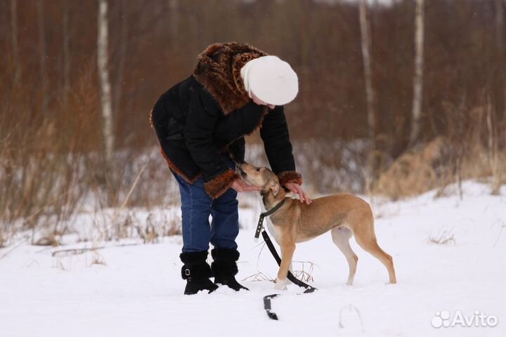 Щенок ищет дом мальчик 4,5 мес